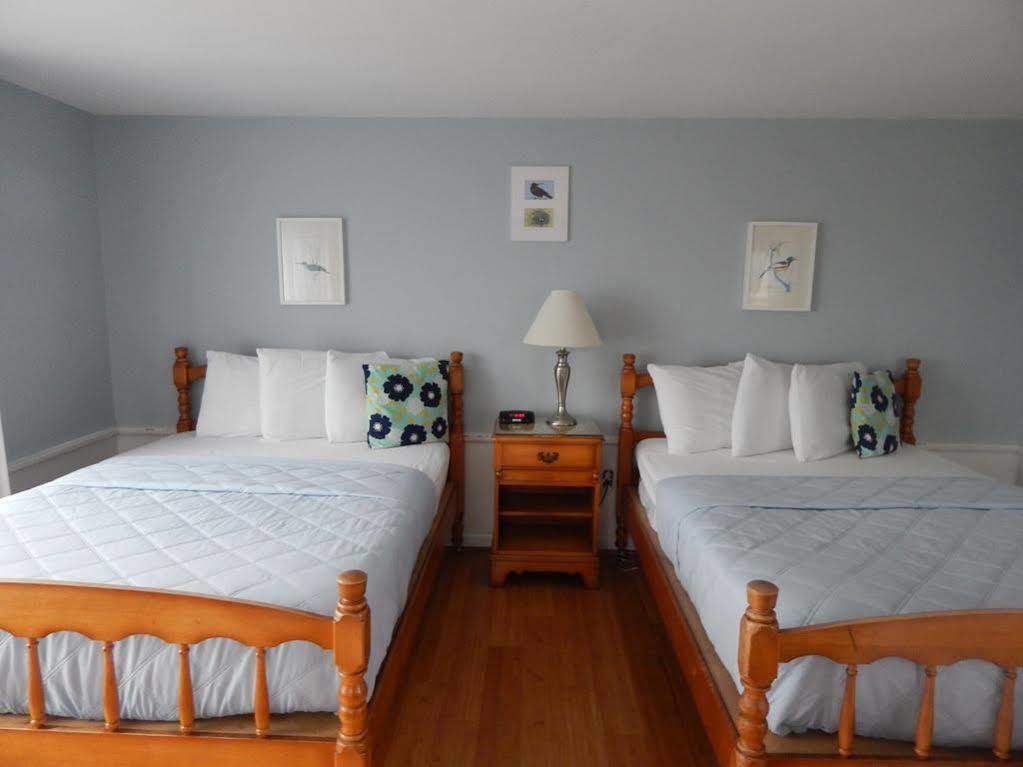 רוקפורט Eagle House Beachside Motel מראה חיצוני תמונה